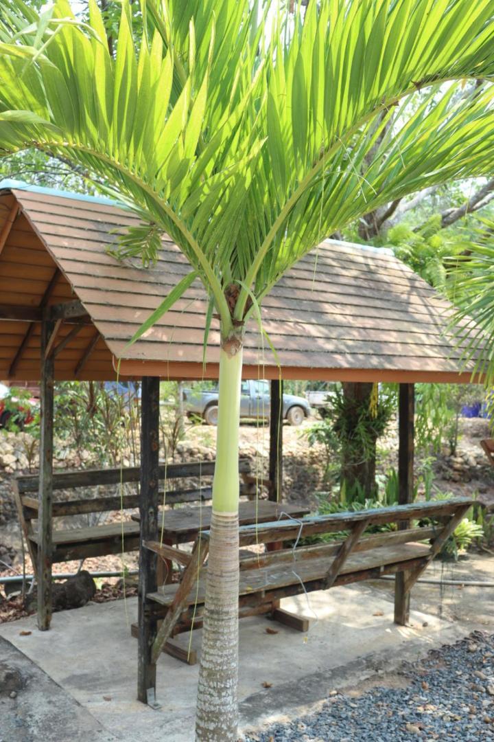 Baanrimklong Bungalow Koh Chang Camera foto